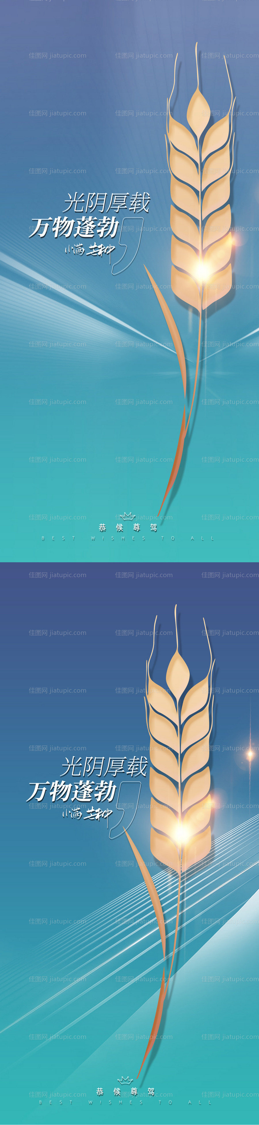 小满芒种麦穗系列-源文件