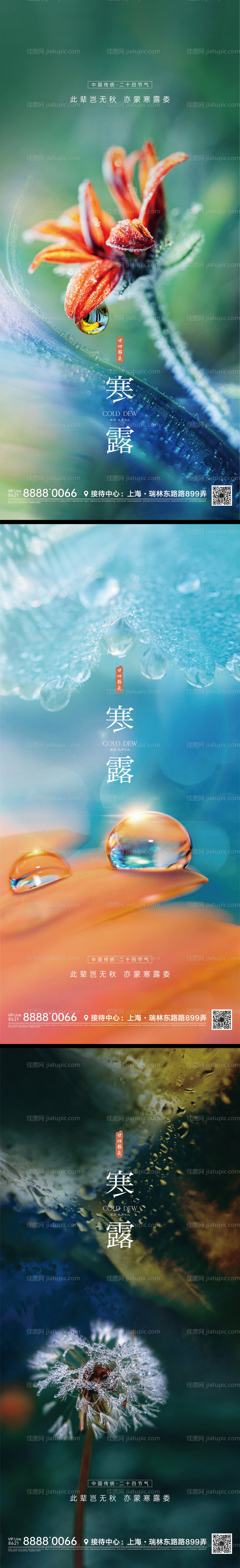 寒露节气海报-源文件