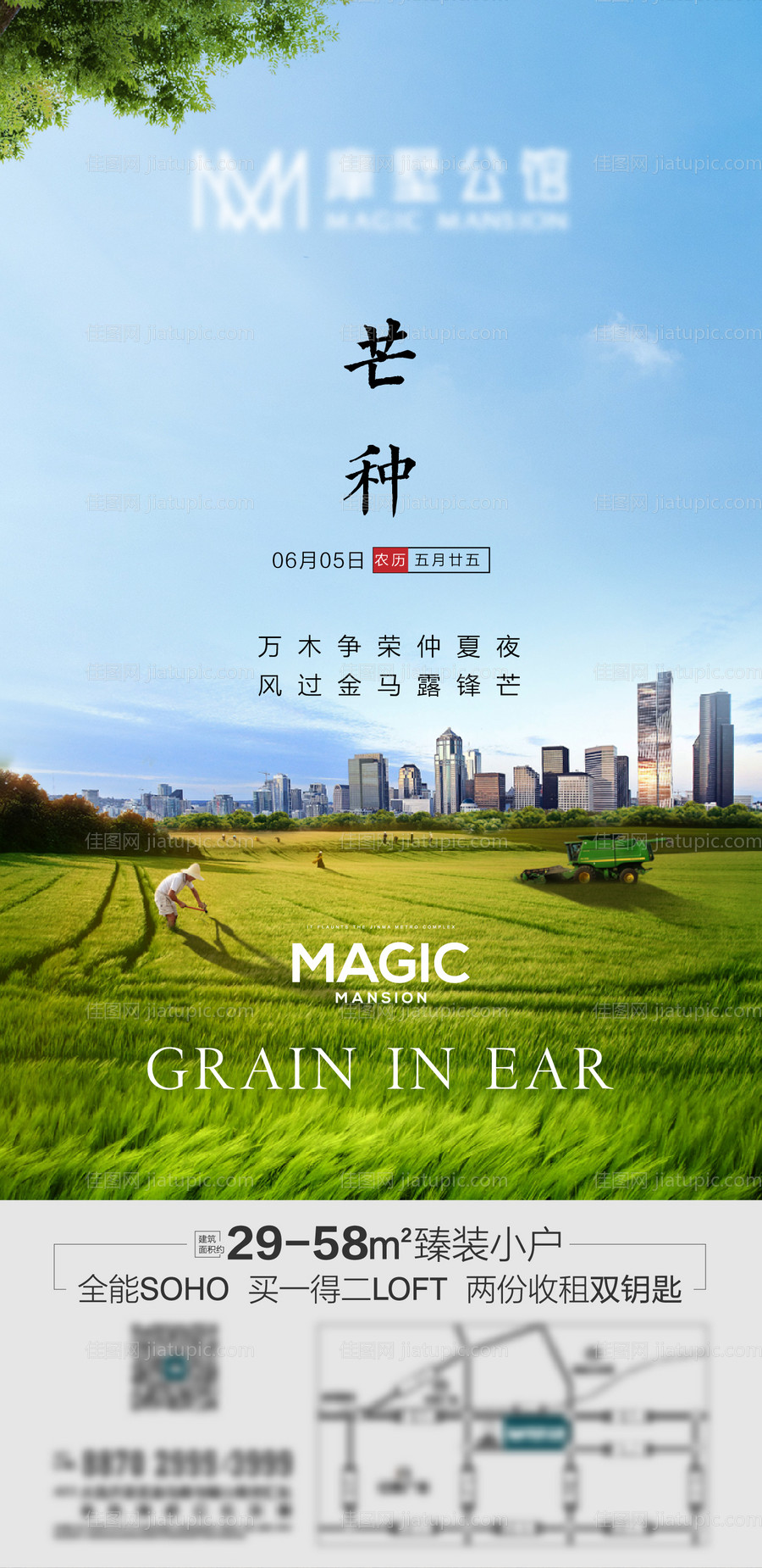 芒种海报-源文件