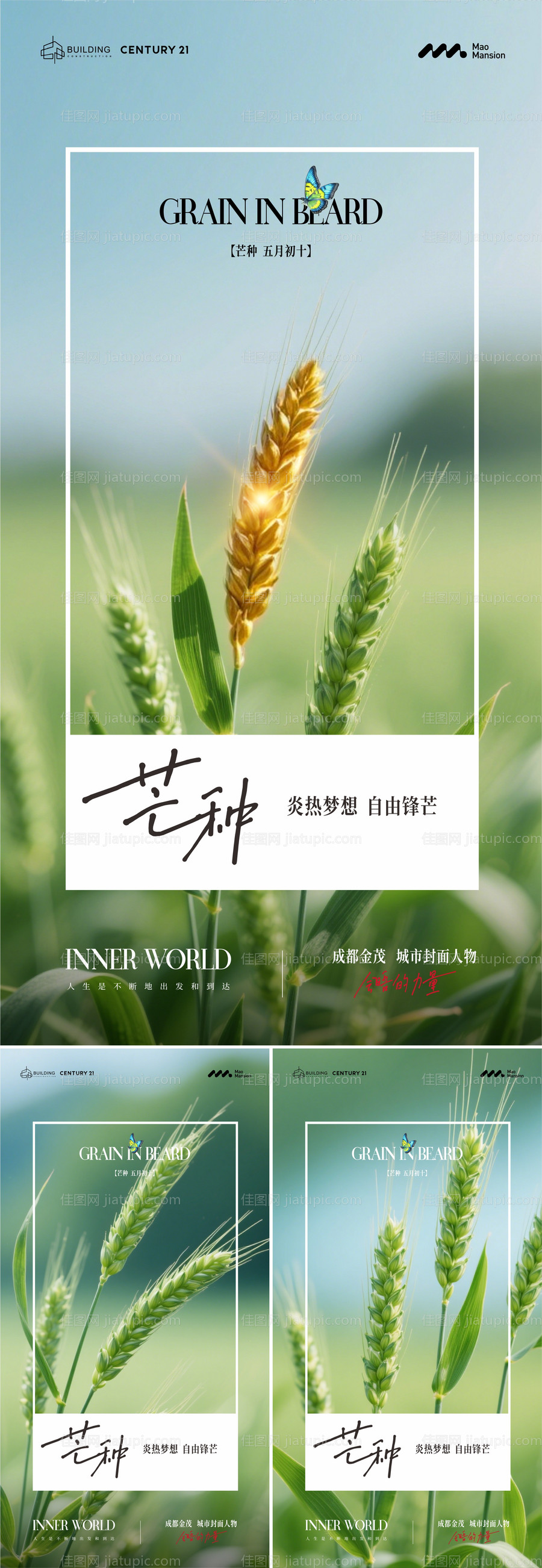 芒种节气海报-源文件