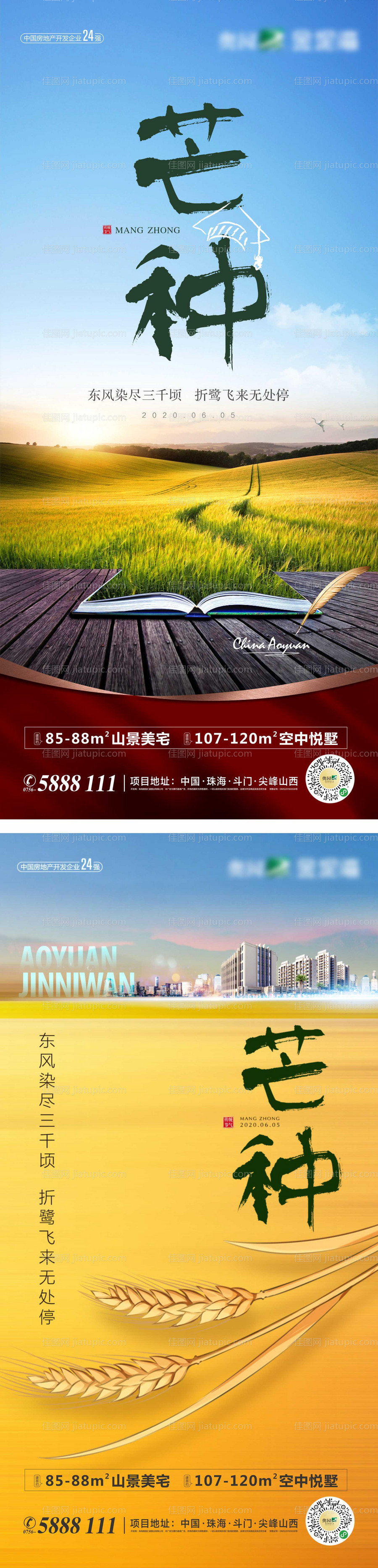 芒种节气微信稿海报-源文件