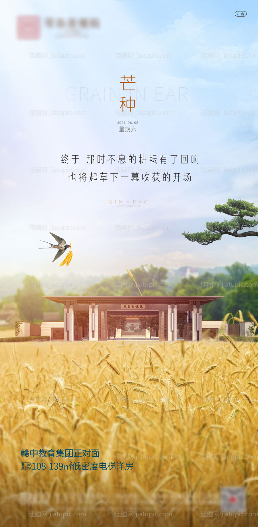 芒种节气海报-源文件