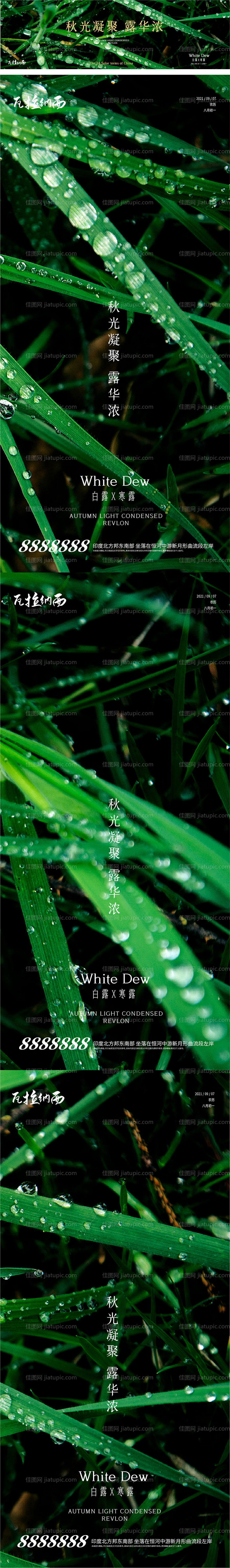 白露寒露节气系列海报-源文件