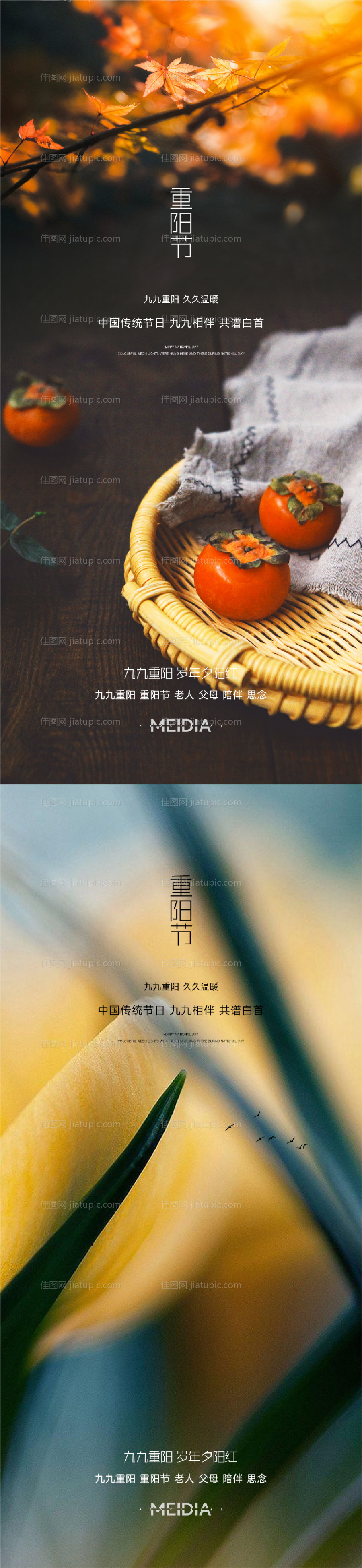 重阳节节日海报-源文件