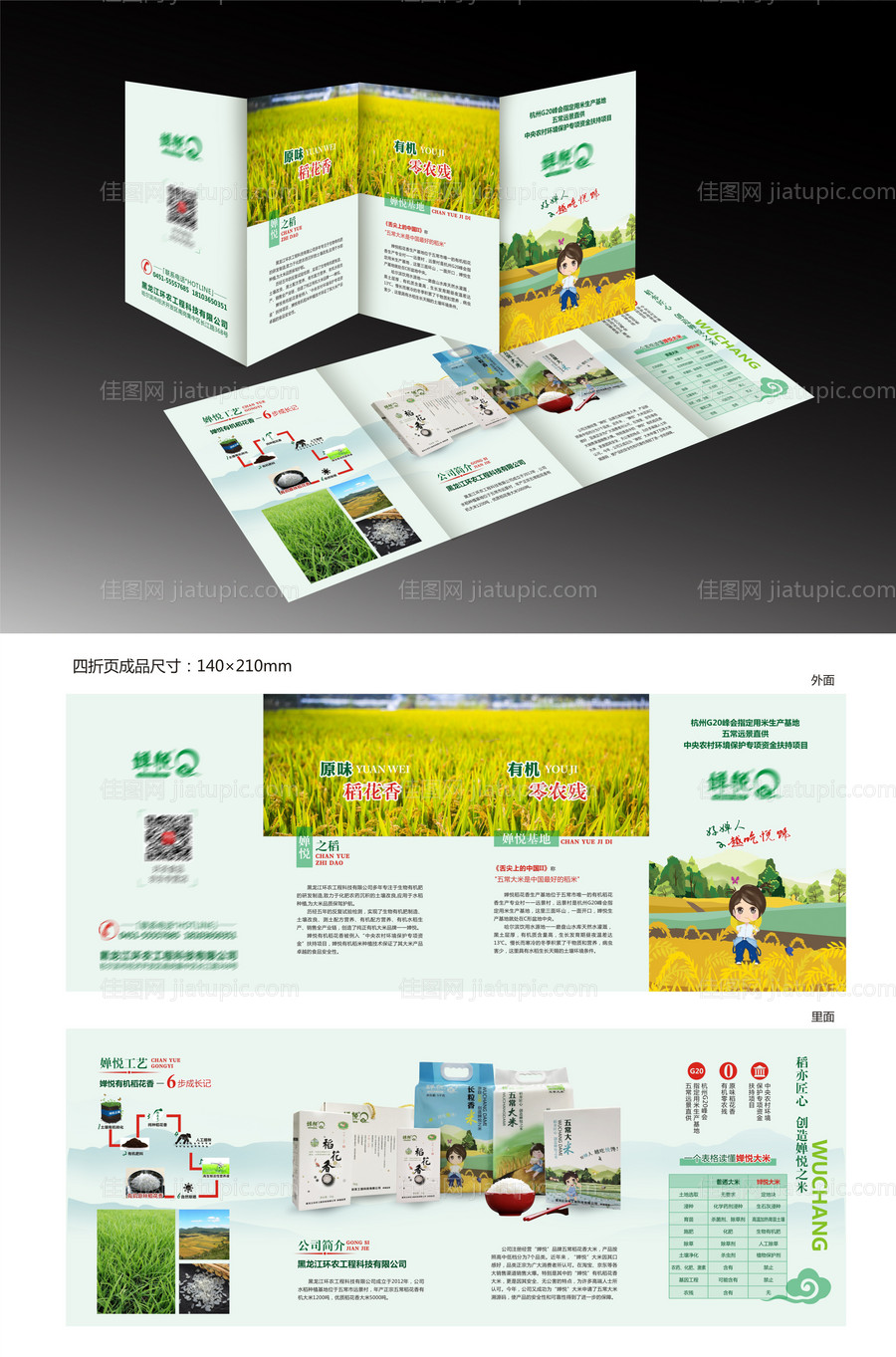 五常有机大米四折页-源文件