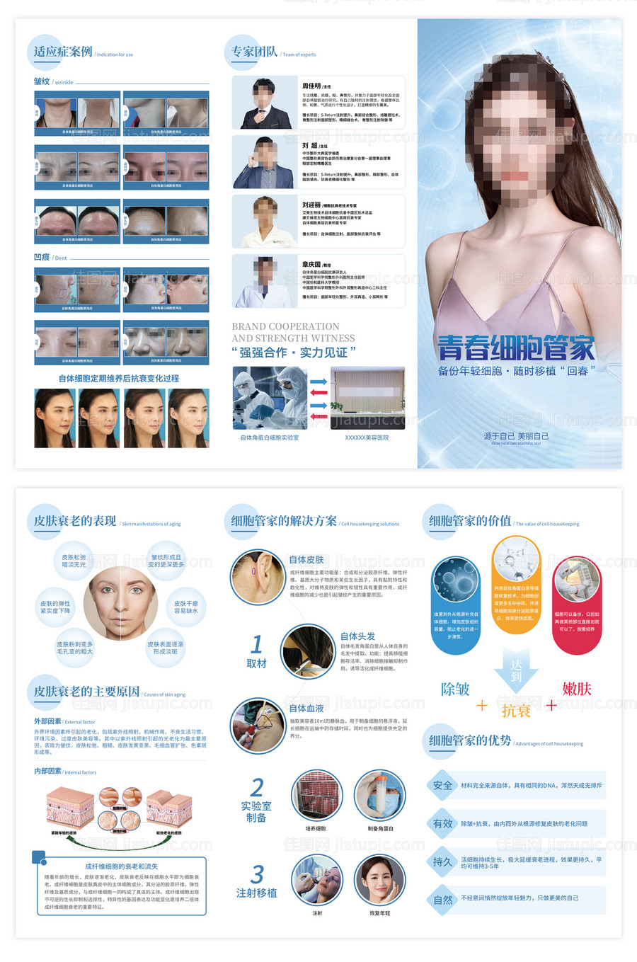 青春细胞管家医美三折页-源文件