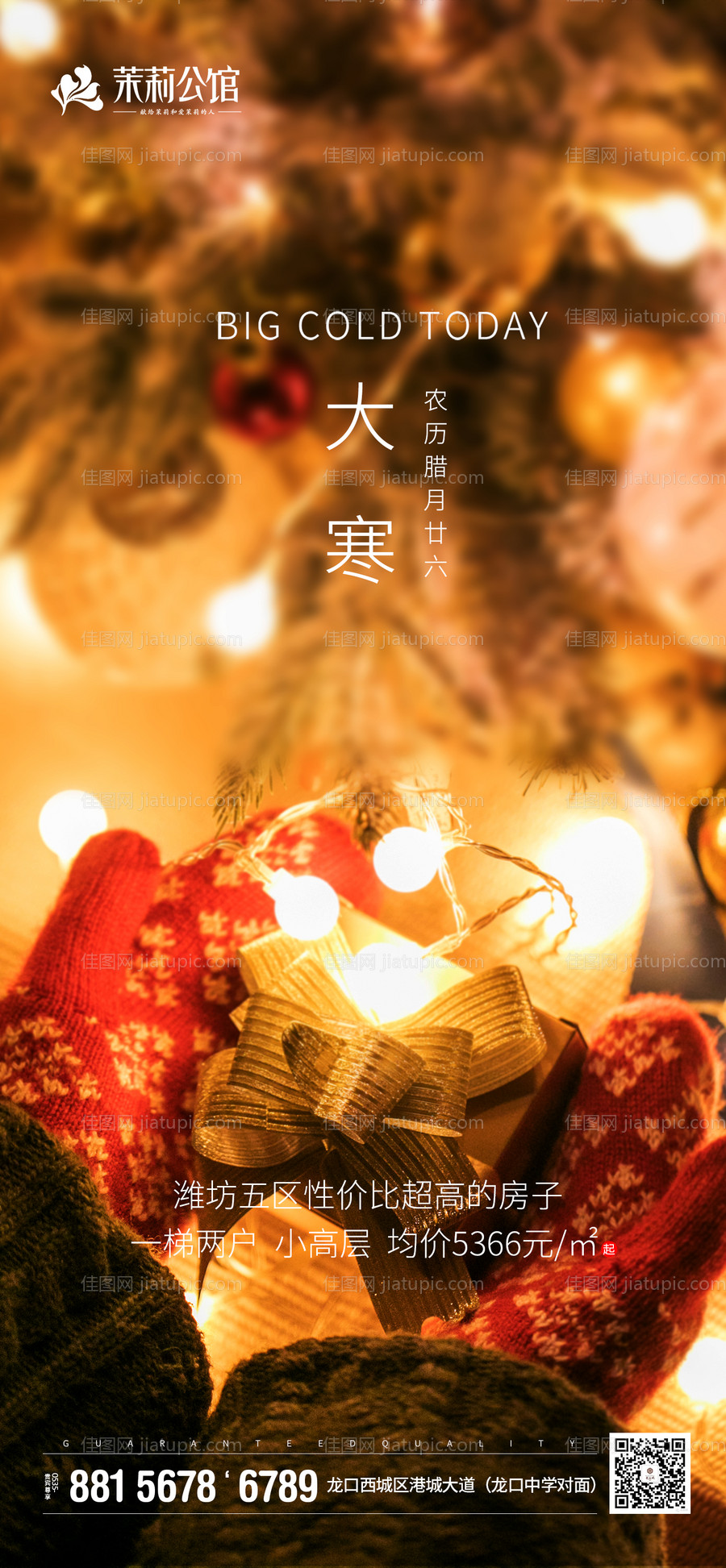 大寒写实宣传海报-源文件