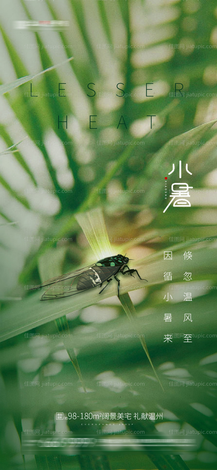 小暑节气海报-源文件