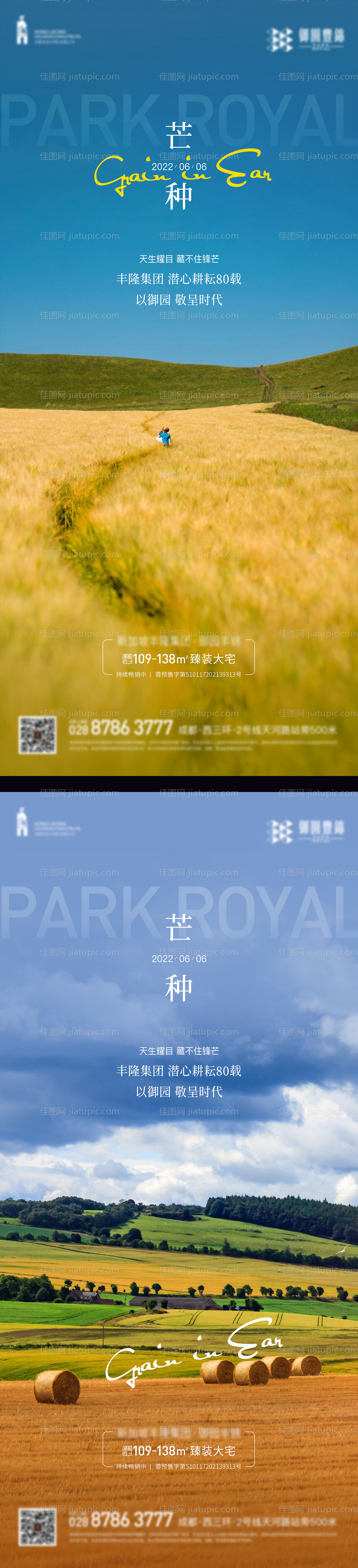 芒种节气海报-源文件