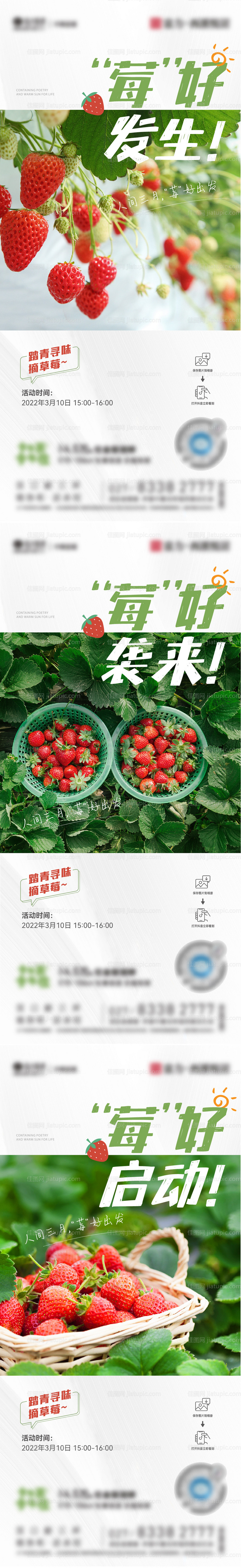 摘草莓活动微信稿-源文件