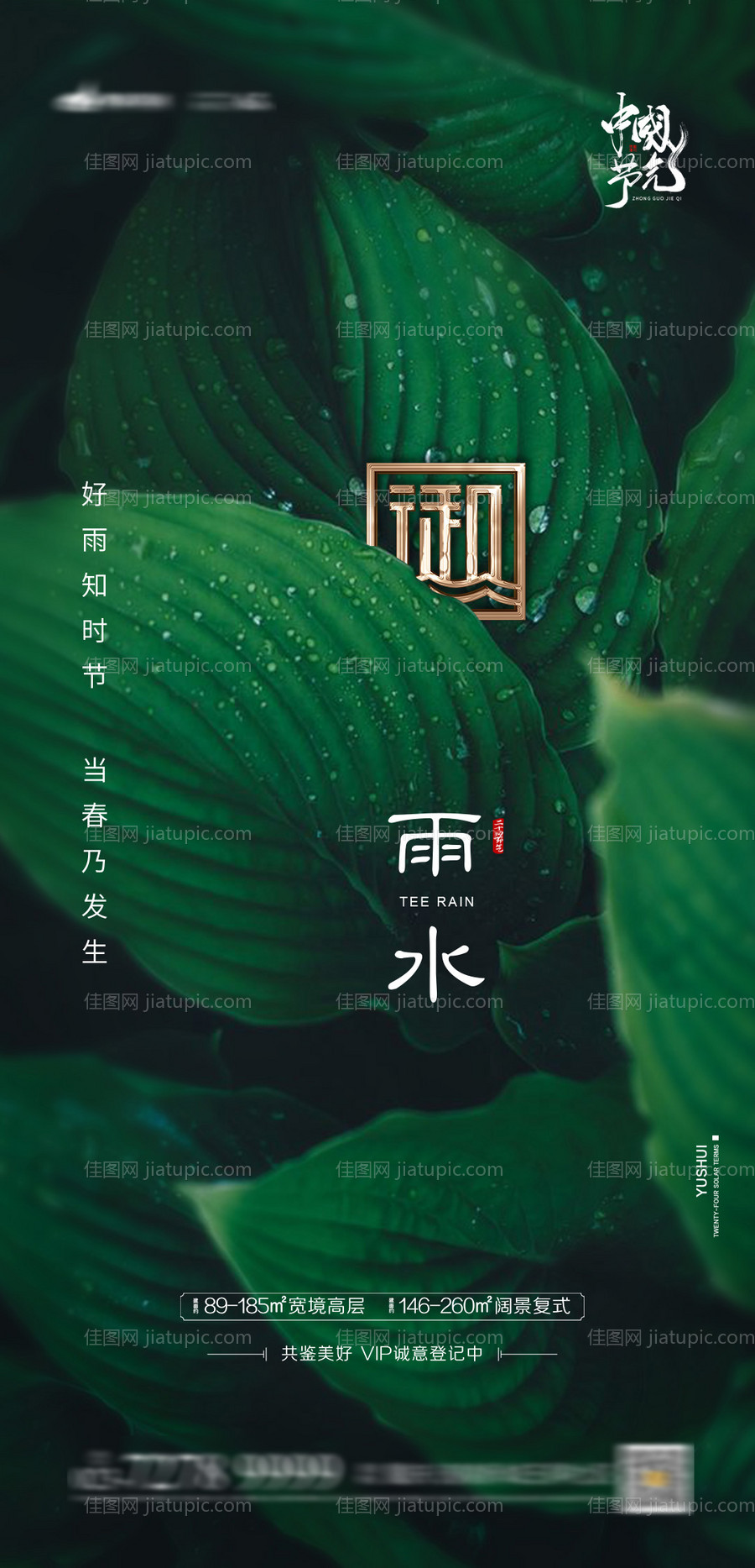 雨水节气海报-源文件