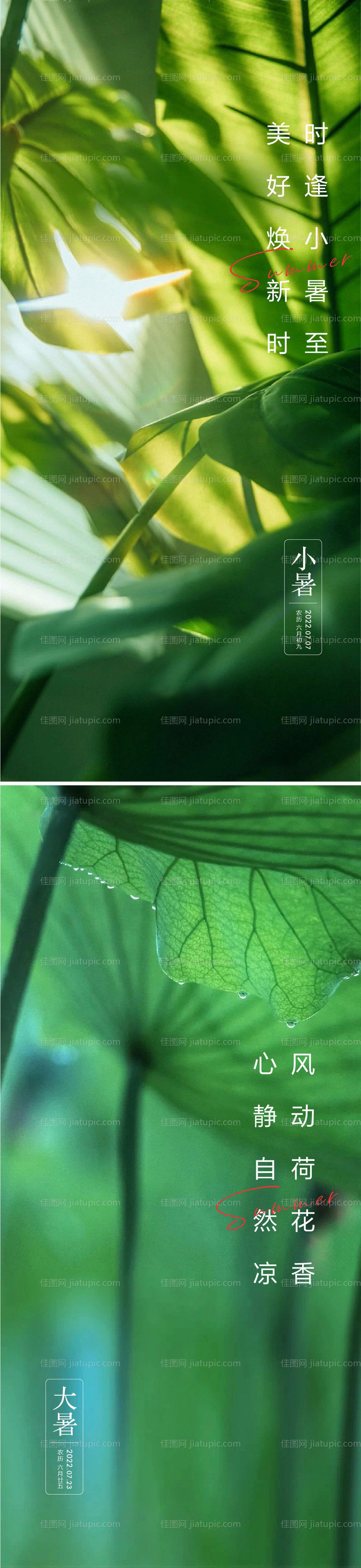 小暑大暑海报-源文件