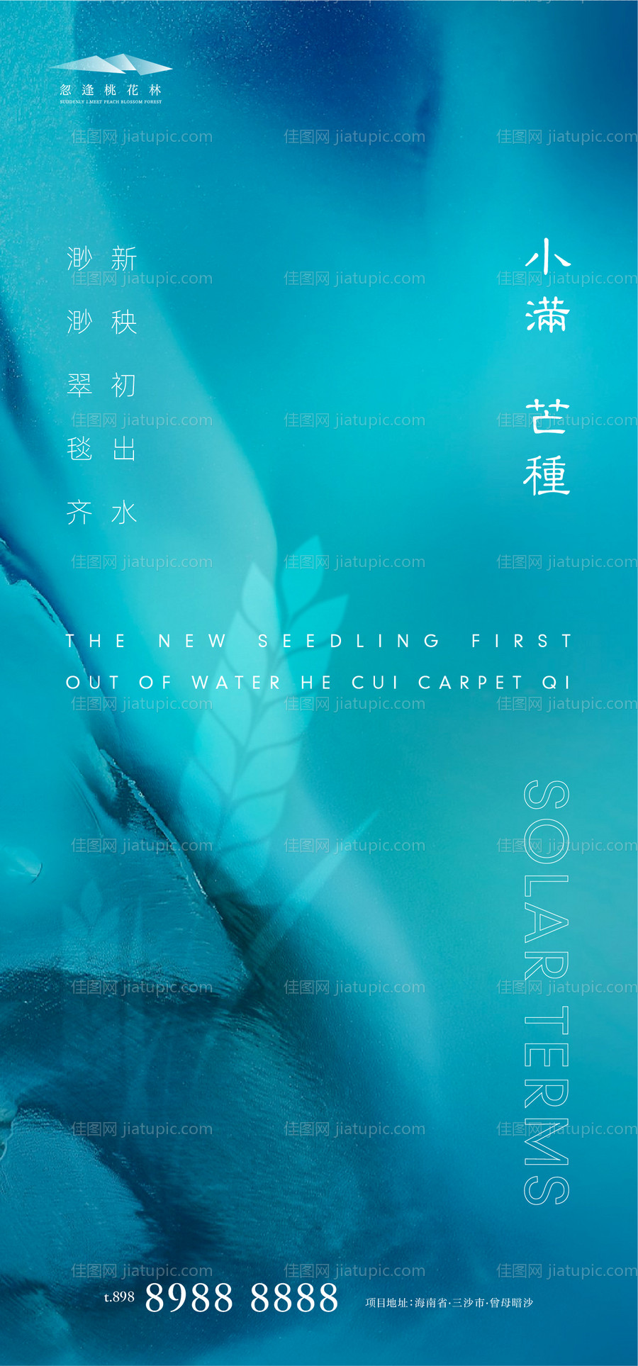 小满芒种节气海报-源文件