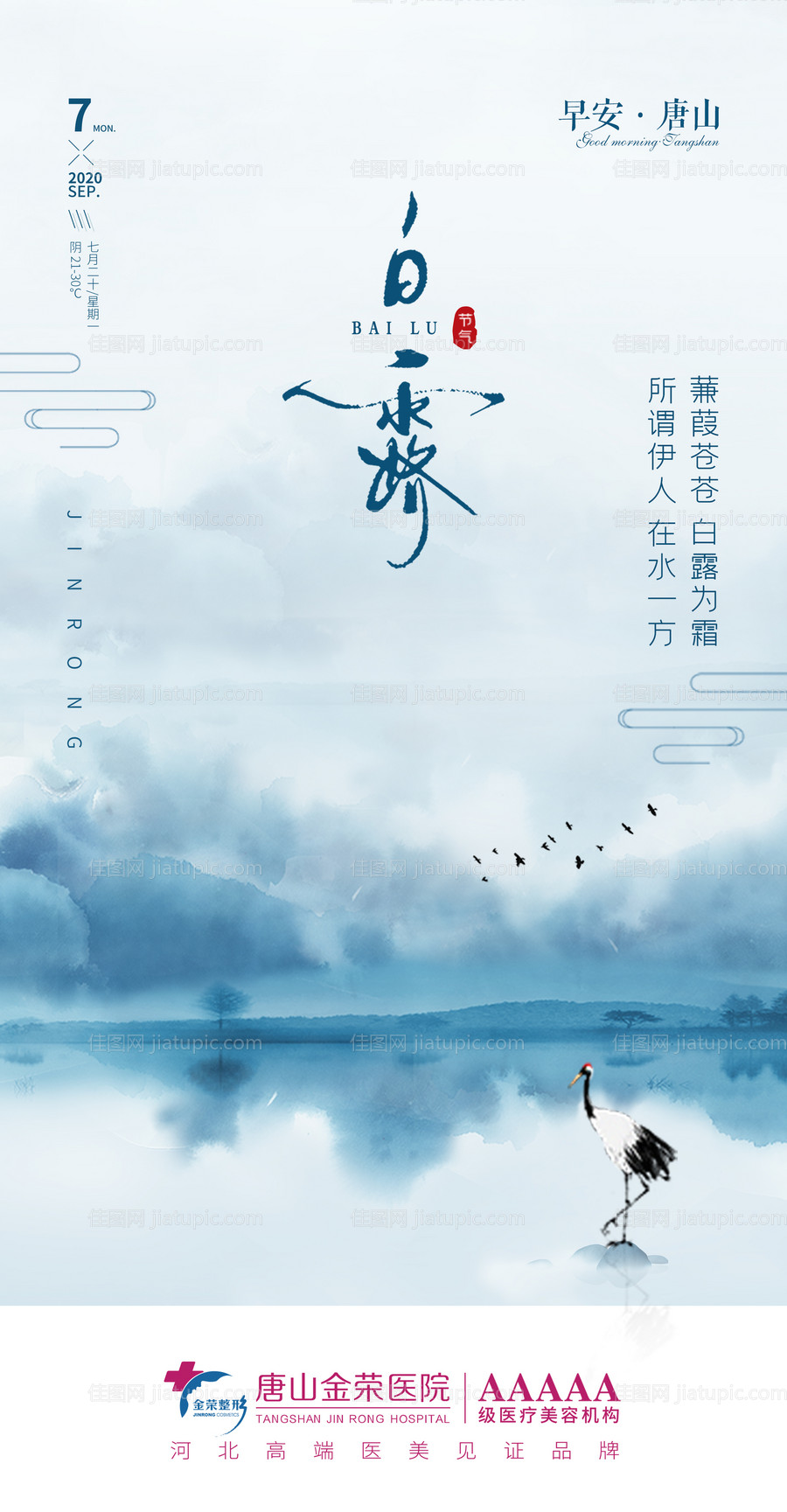 医美早安图节气白露海报-源文件