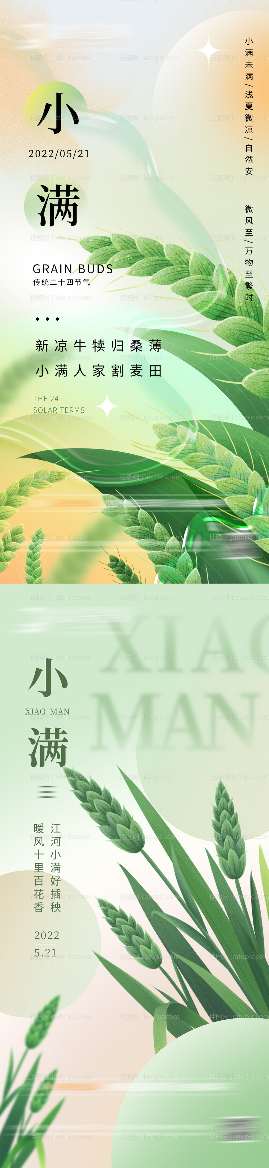 地产小满二十四节气海报-源文件