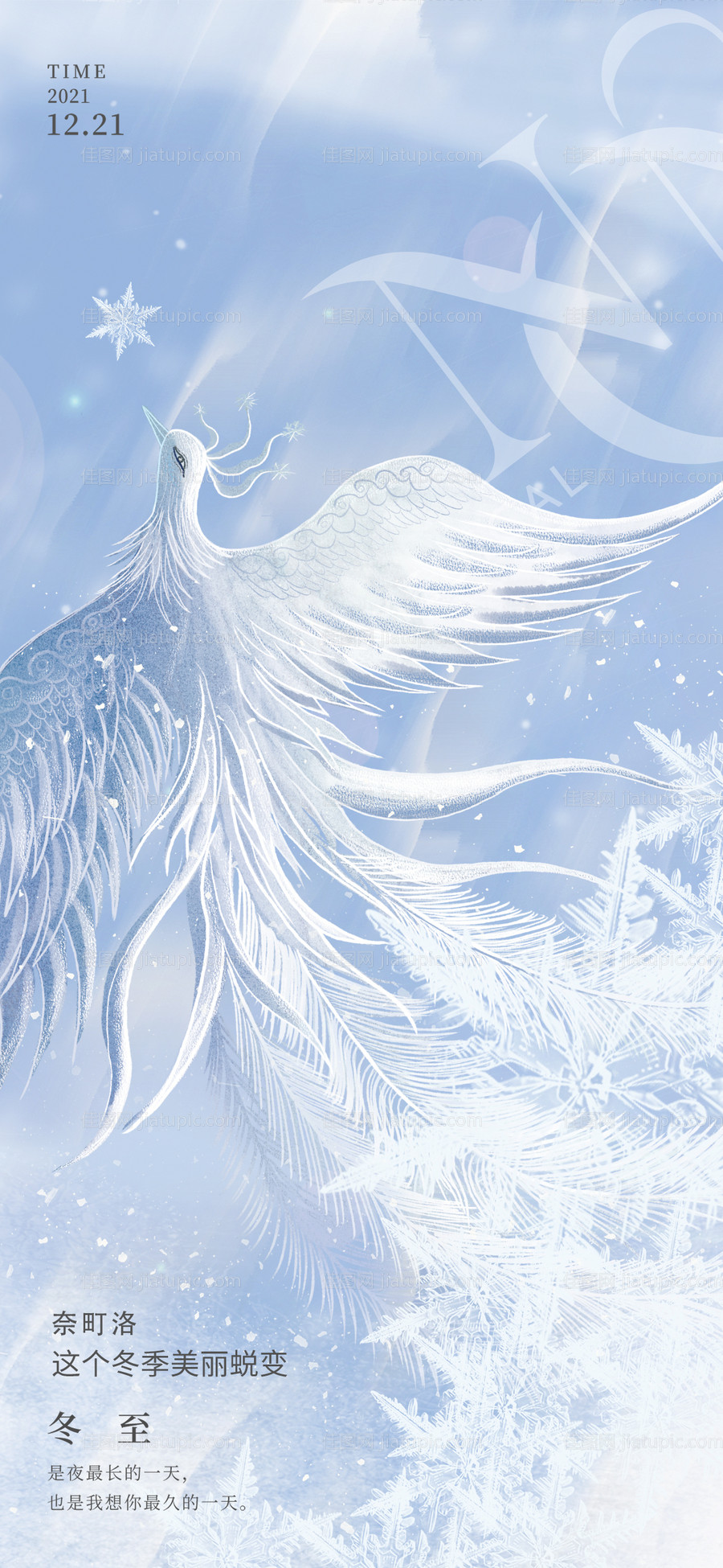 医美冬至节气海报-源文件