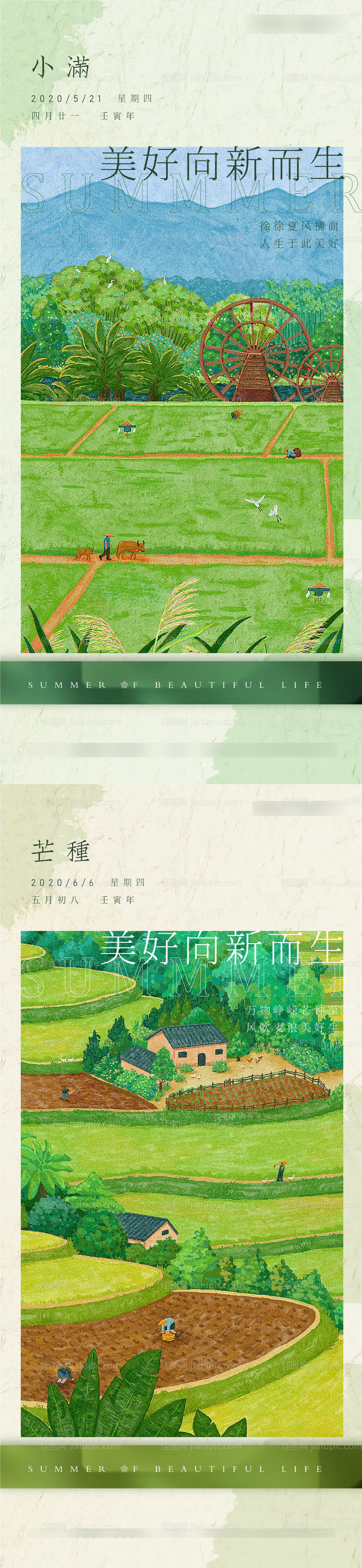 小满芒种插画节气系列海报-源文件