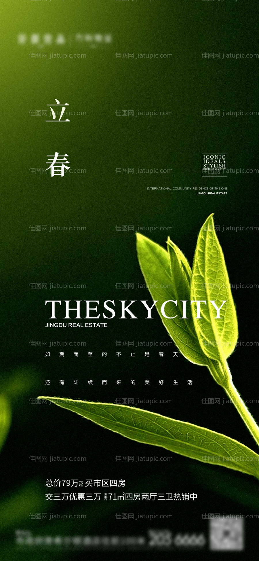 立春节气单图-源文件