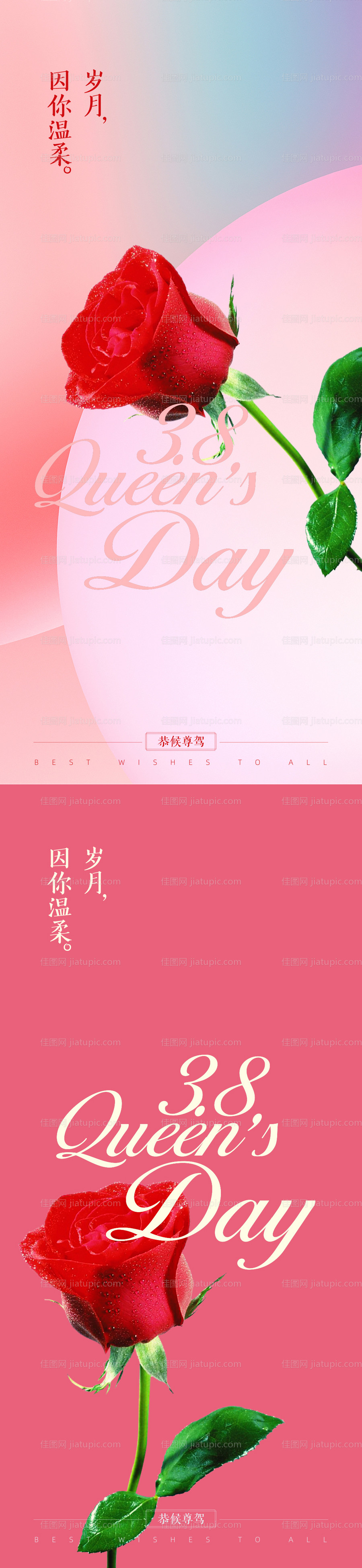 女神节玫瑰系列-源文件