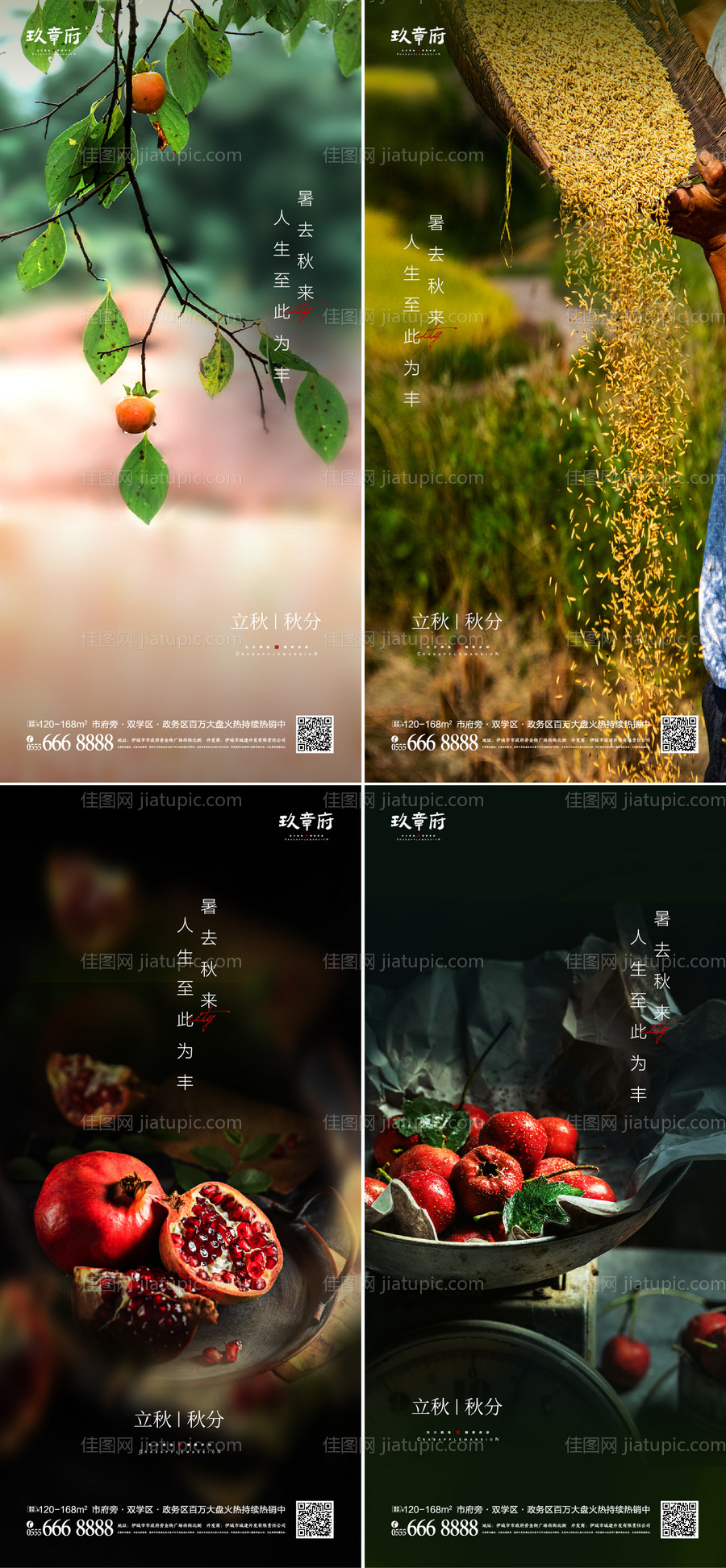 立秋秋分系列海报-源文件