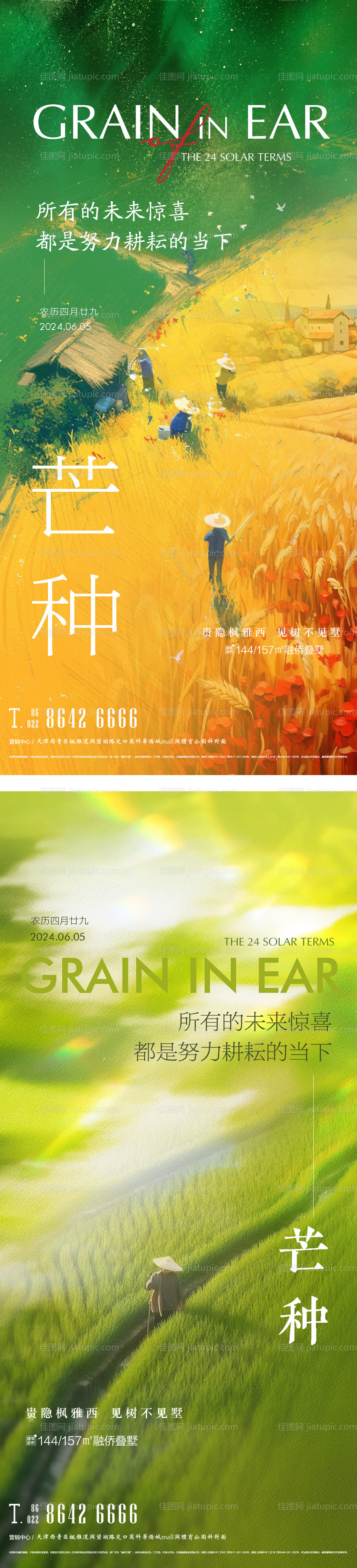 芒种节气系列海报-源文件