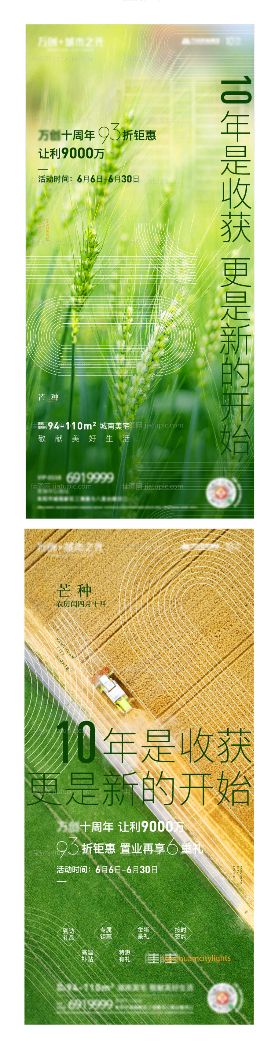 芒种海报 -源文件