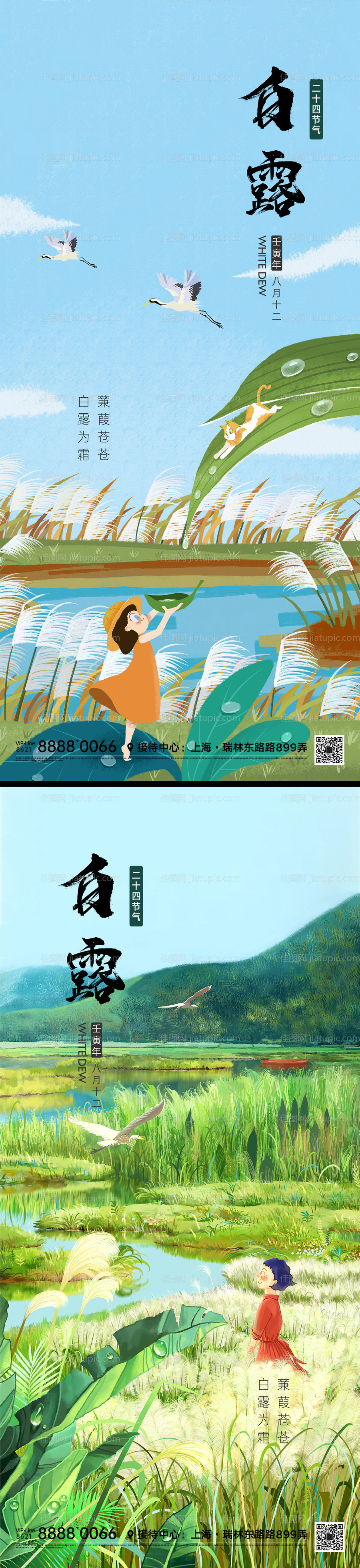 白露节气海报-源文件