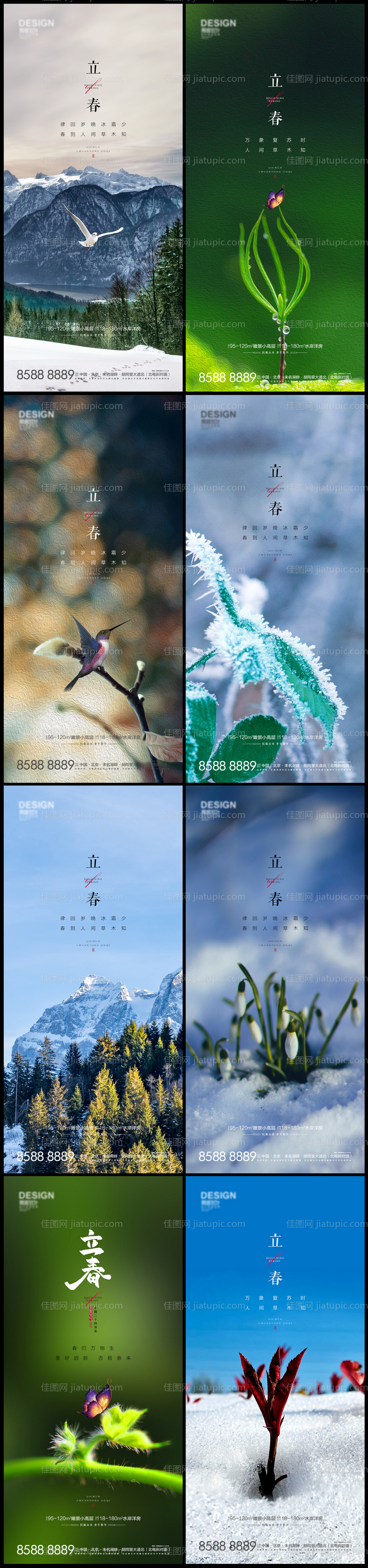 二十四节气立春海报系列-源文件