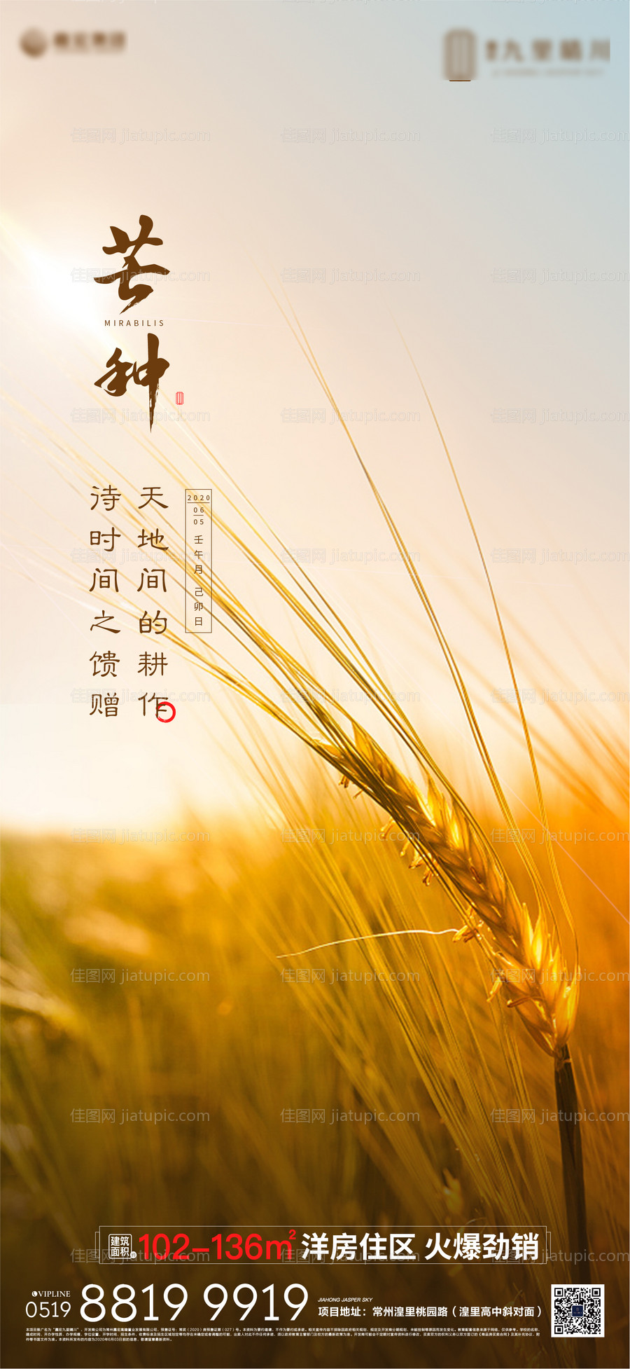 芒种节日稿-源文件