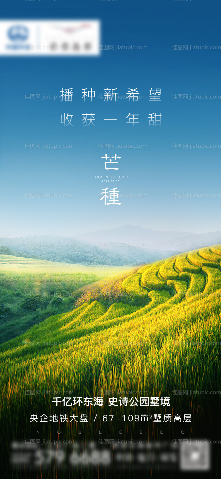 房地产芒种节气微单海报-源文件