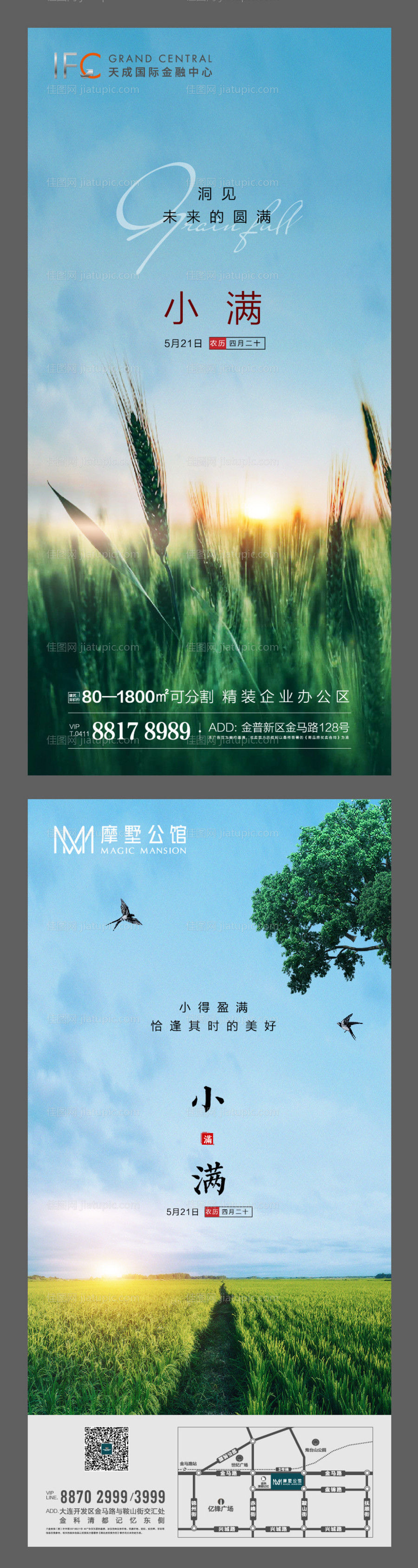 小满节气海报-源文件