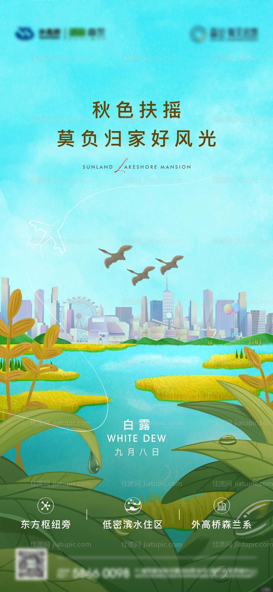 白露节气海报-源文件