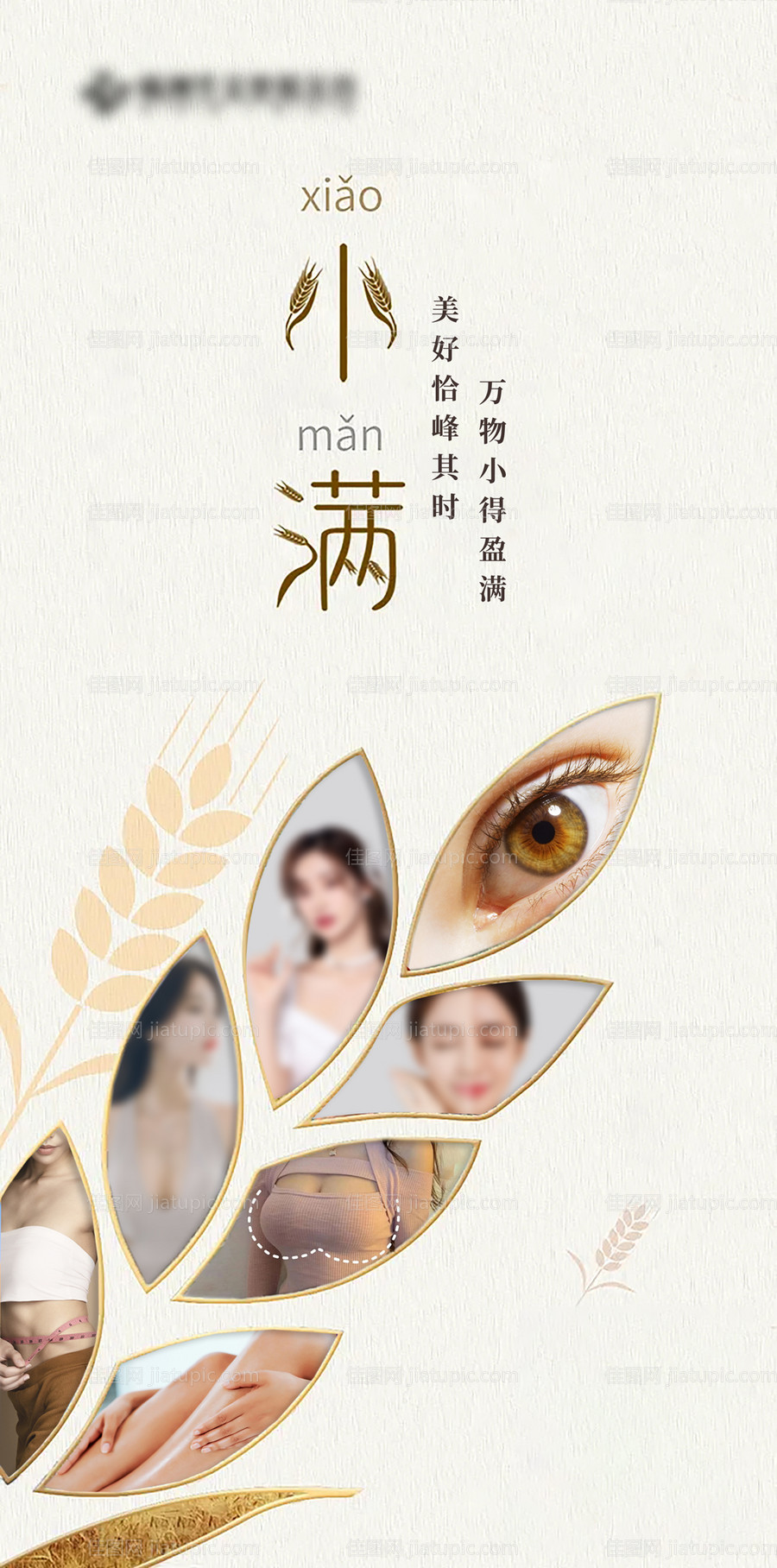 医美小满海报-源文件