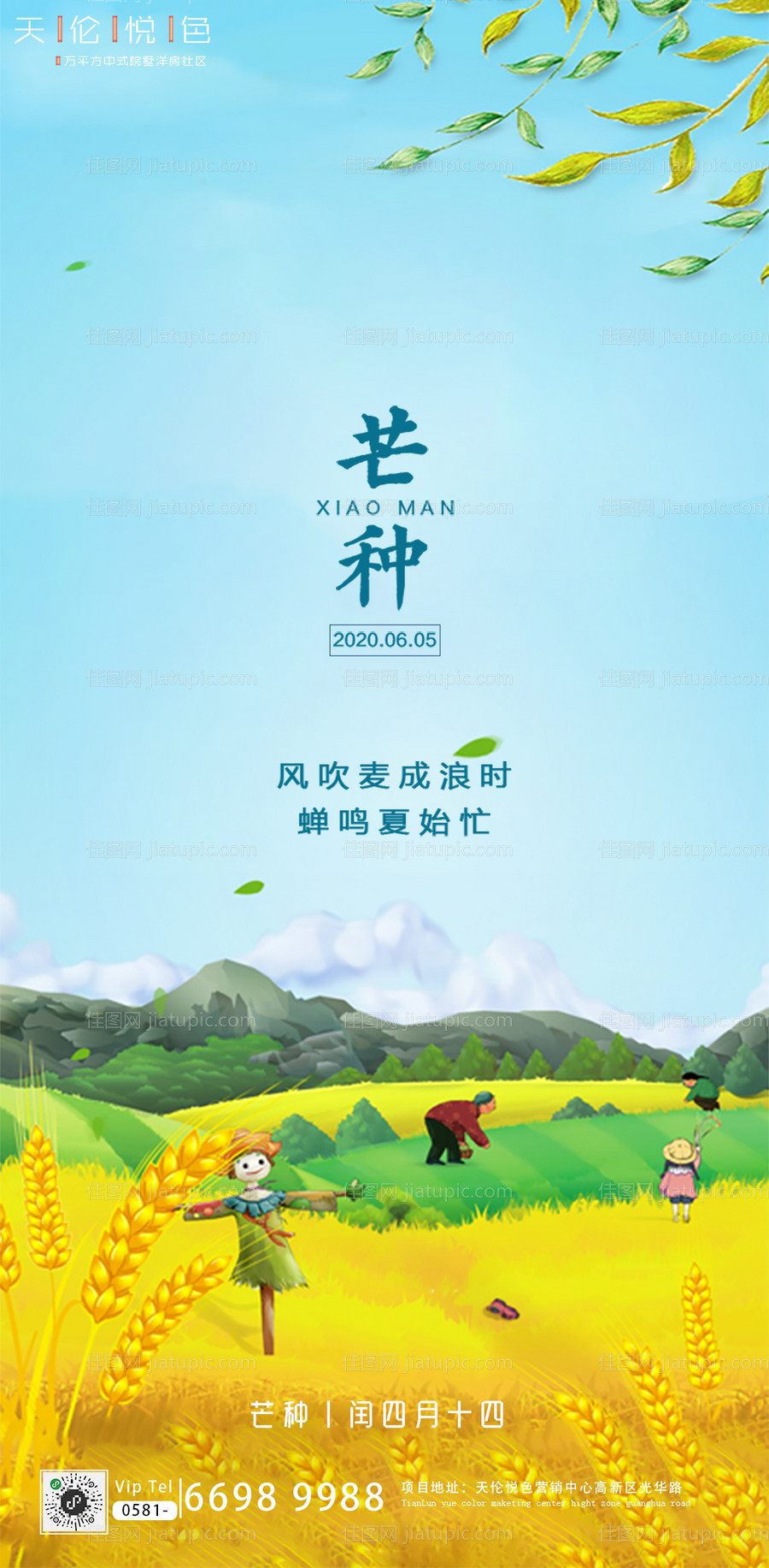 芒种节气插画移动端海报-源文件