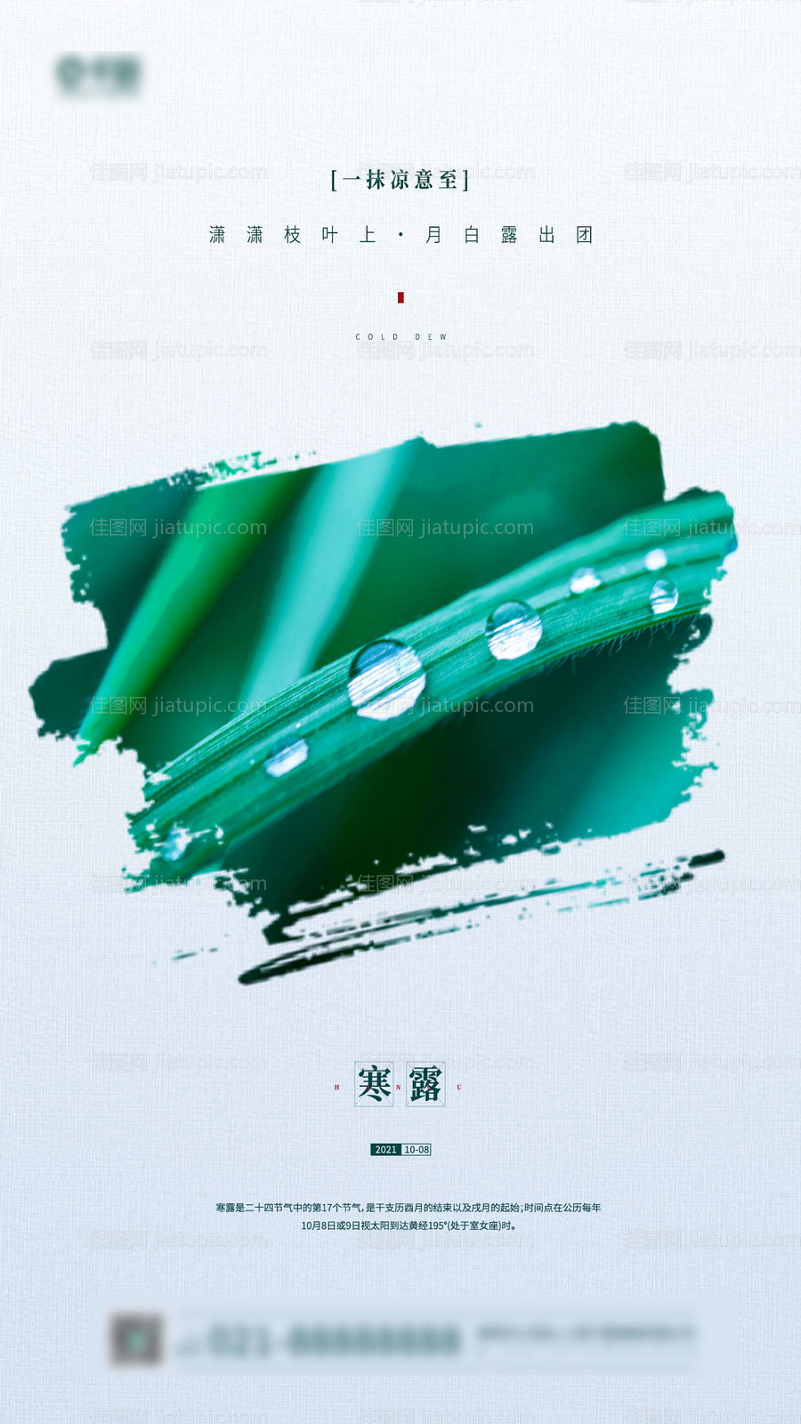 寒露节气植物露水摄影图手机海报-源文件