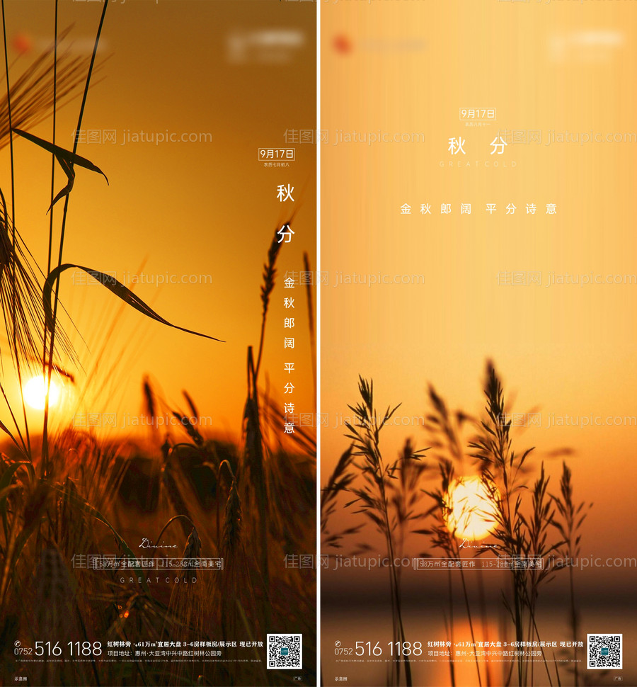 秋分节气-源文件