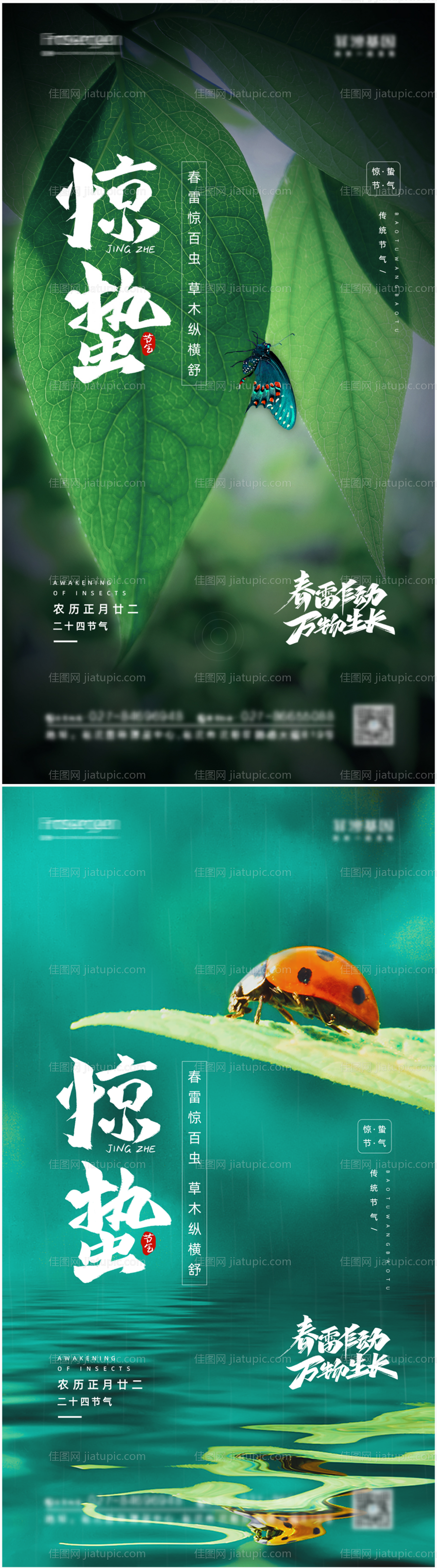 惊蛰节气海报-源文件