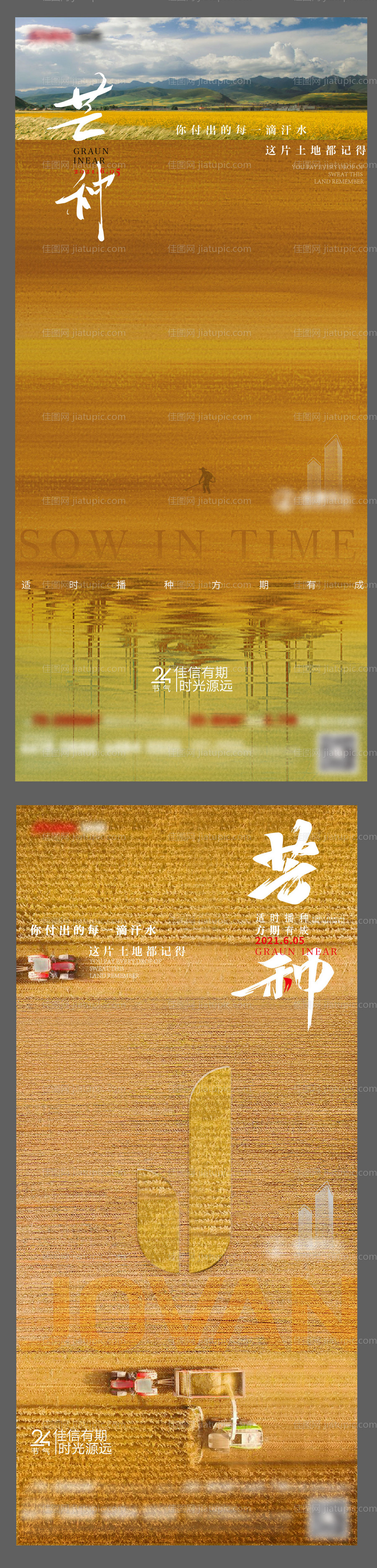 节气芒种海报-源文件