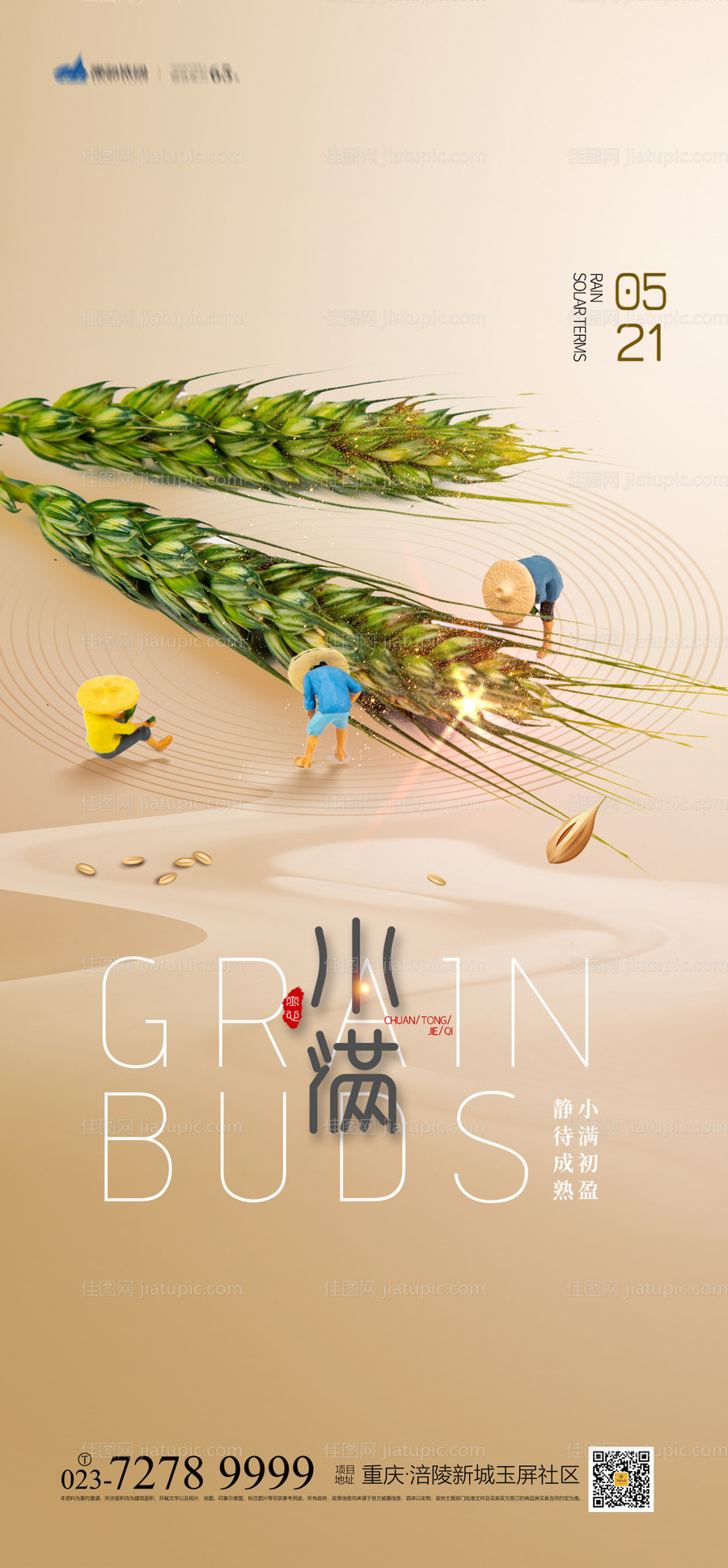 小满节气海报-源文件