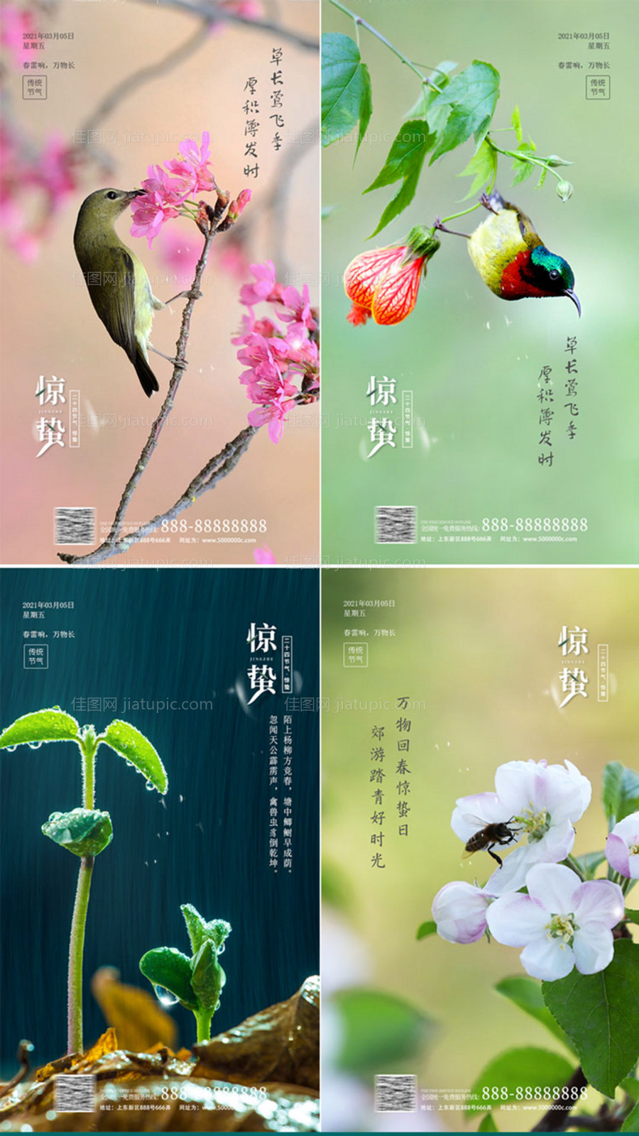 惊蛰节气海报系列-源文件