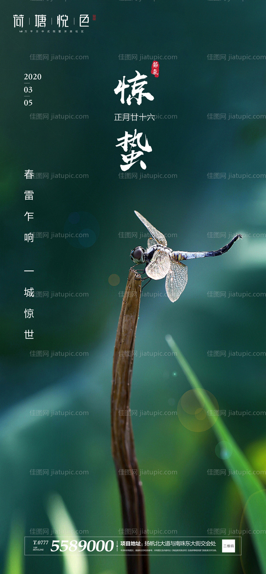 地产惊蛰节气海报-源文件