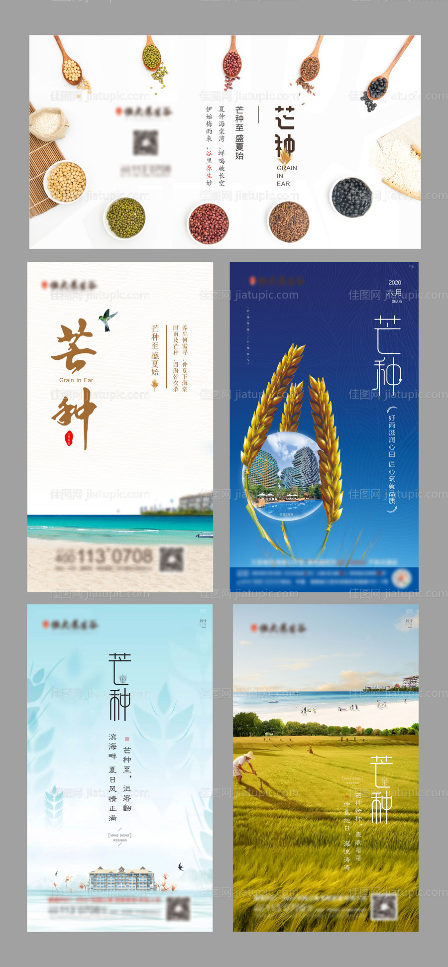 芒种节气海报-源文件