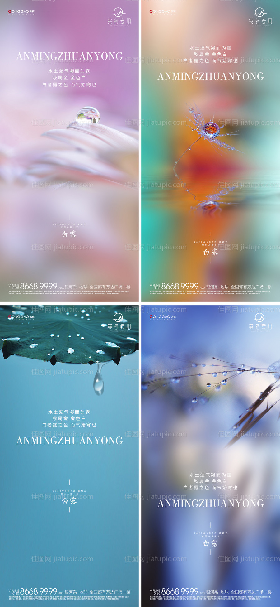 白露海报-源文件