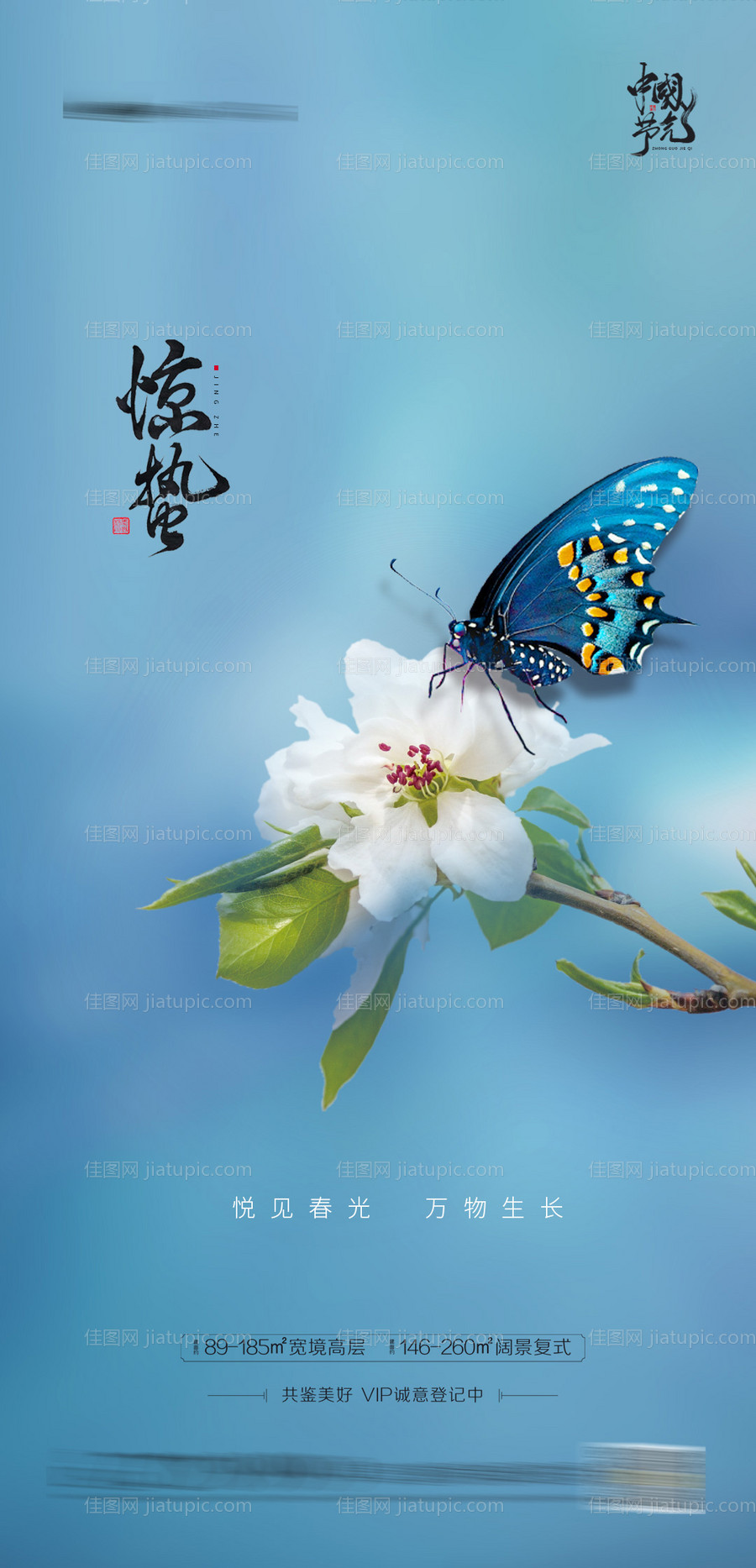 惊蛰节气单图-源文件