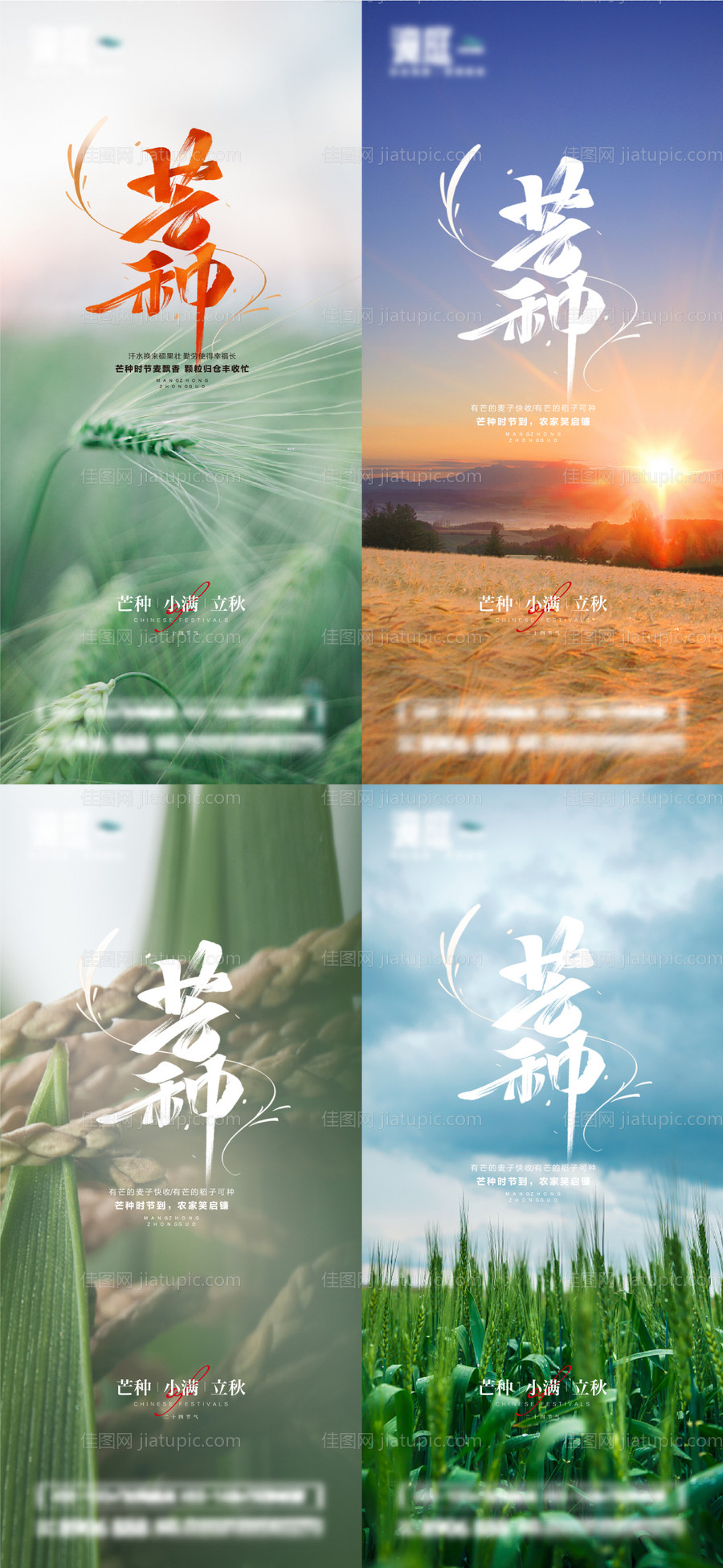 芒种小满立秋节气系列海报-源文件