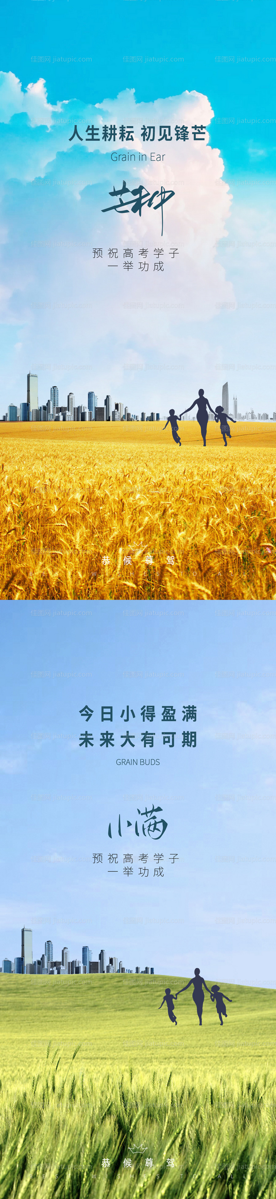 小满芒种节气系列海报-源文件