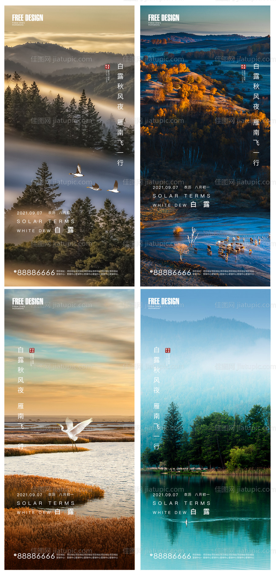 白露节气微信单图-源文件