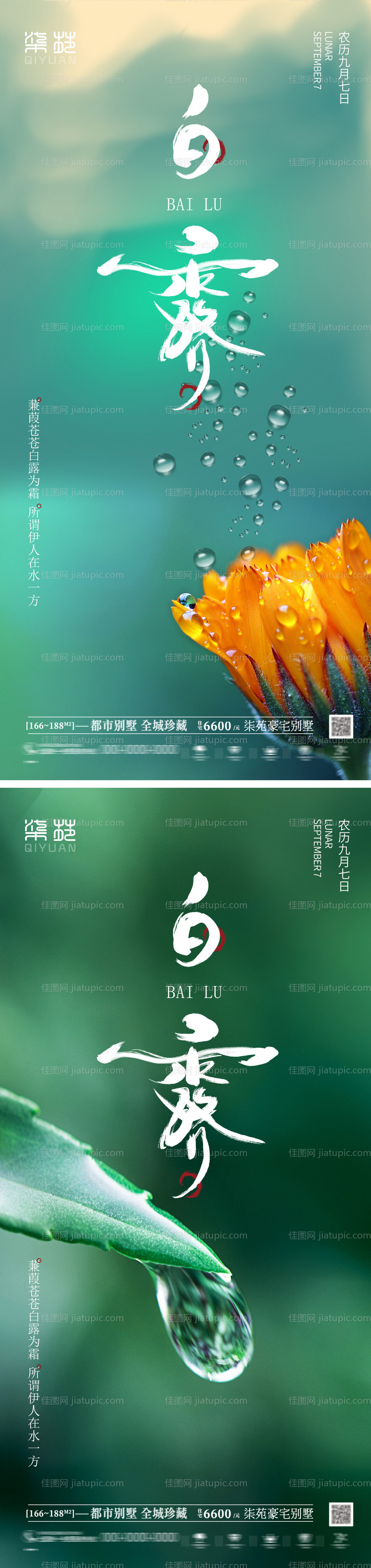 白露海报-源文件