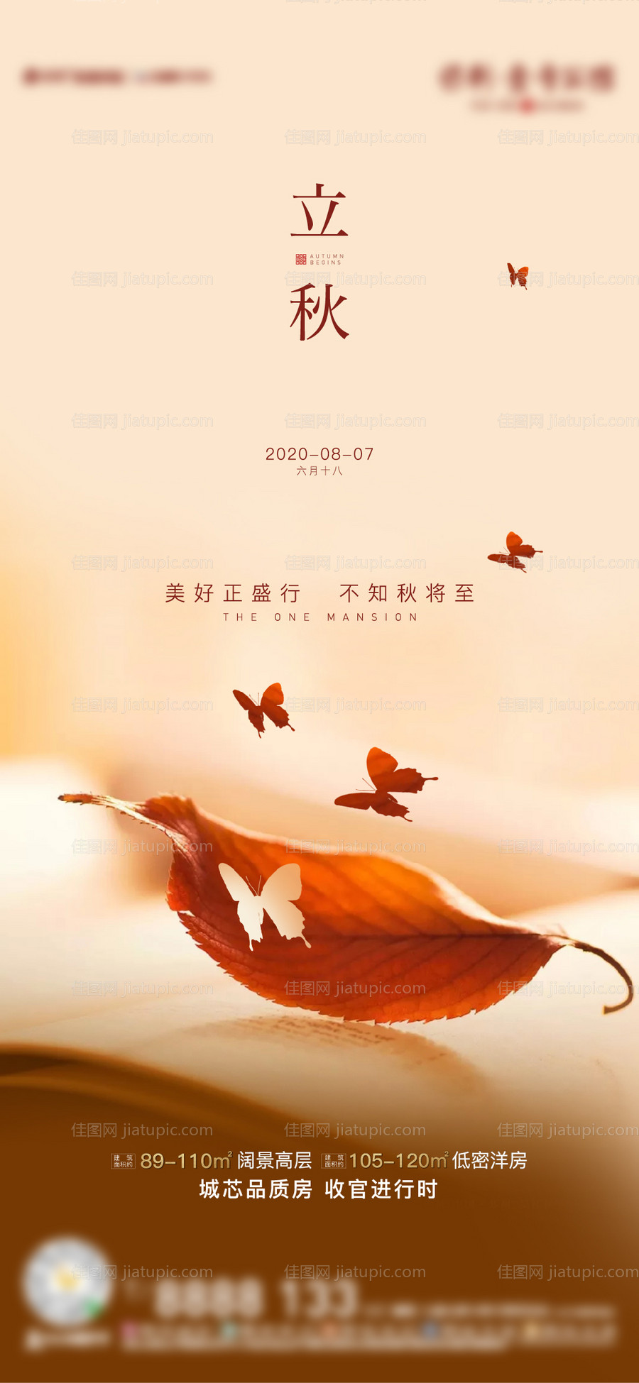 立秋节气单图海报-源文件