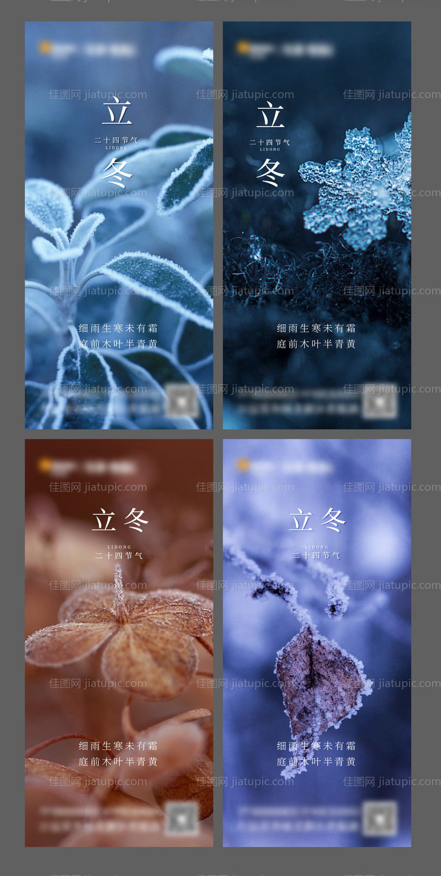 二十四节气立冬海报-源文件